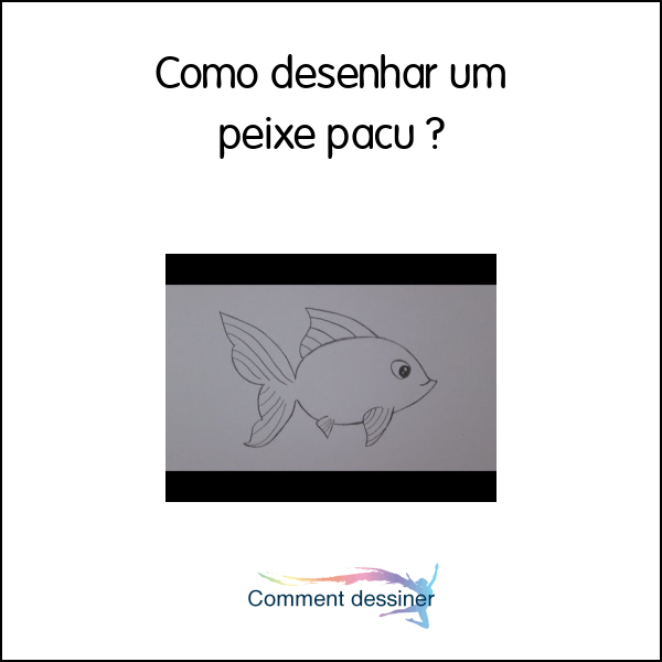 Como desenhar um peixe pacu